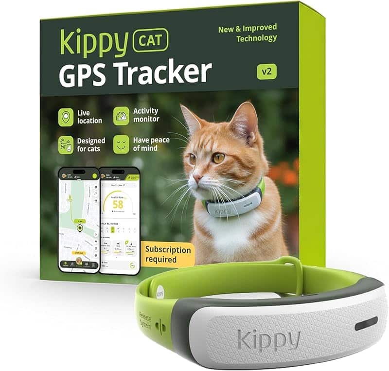 GPS localizador para gatos collar tiempo real